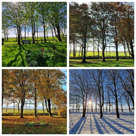 Ferienwohnung Sort Sol Grellsbuelldeich 7 Aventoft Экстерьер фото