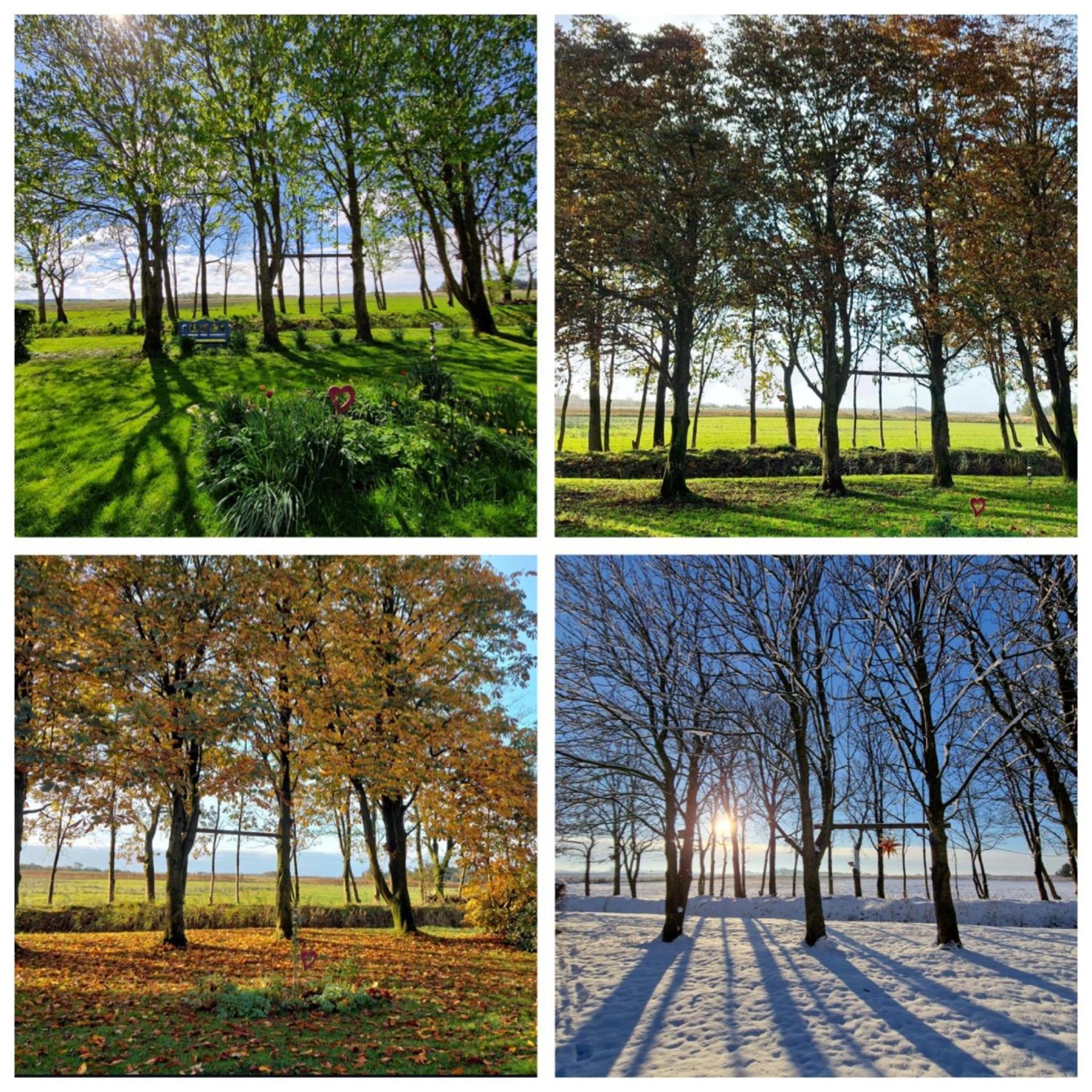 Ferienwohnung Sort Sol Grellsbuelldeich 7 Aventoft Экстерьер фото